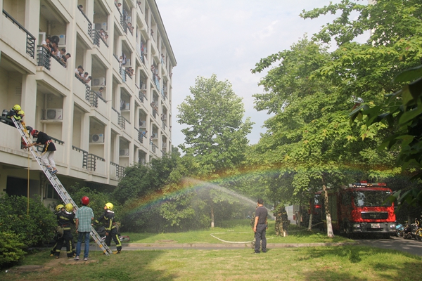 1494815219143726.jpg 15.jpg